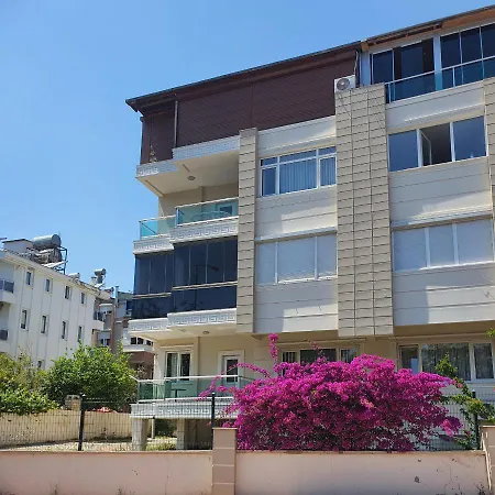 House By The Apartment
